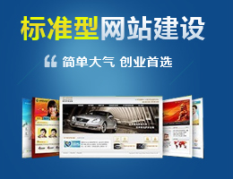 模板网站建设