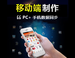 中英文网站建设（双语）