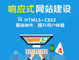 定制WordPress网站